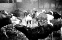 hof_hiddemann_07