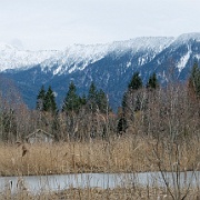 Murnauer Moos  Murnauer Moos mit Alpen : Murnauer Moos, Moosberg, Landschaft, Natur, Moor, Köchel