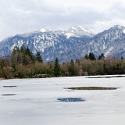 Murnauer Moos  Moosbersee im Murnauer Moos : Murnauer Moos, Moosbergsee, Murnau, Moor, Alpen, Berge, Landschaft, Natur, Renaturierung, Köchel