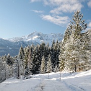 Winterlandschaft in Bayern  Winterlandschaft mit Blick auf die Zugspitze : Garmisch Partenkirchen, Alpen, Winter, Bayern, Berge, Winterlandschaft, Wanderweg, Natur, Winter, Schnee, blauer Himmel, Bergwandern, Landschaft, Alpin, Kramerplateauweg, Ammergebirge
