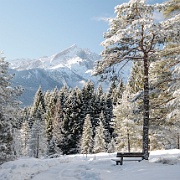 Winterlandschaft in Bayern  Winterlandschaft mit Blick auf die Zugspitze : Garmisch Partenkirchen, Alpen, Winter, Bayern, Berge, Winterlandschaft, Wanderweg, Natur, Winter, Schnee, blauer Himmel, Bergwandern, Landschaft, Alpin, Kramerplateauweg, Ammergebirge