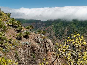 GOMERA_12