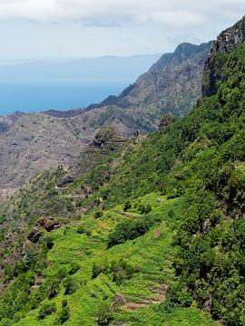 GOMERA_15