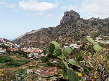 GOMERA_19