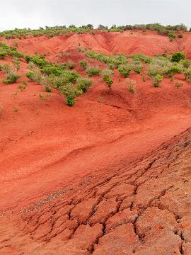 GOMERA_27