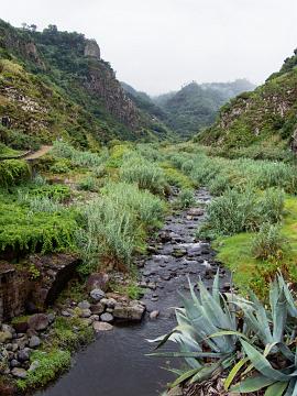 Madeira (13)