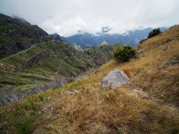 Madeira (10)