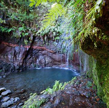 Madeira (6)