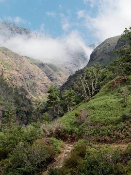 Madeira (4)