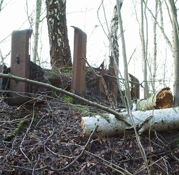 industriewald ruhrgebiet (21)