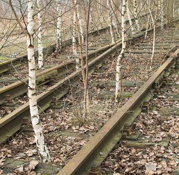 industriewald ruhrgebiet (19)