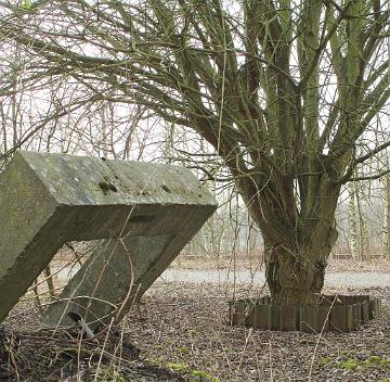 industriewald ruhrgebiet (15)