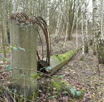 industriewald ruhrgebiet (3)