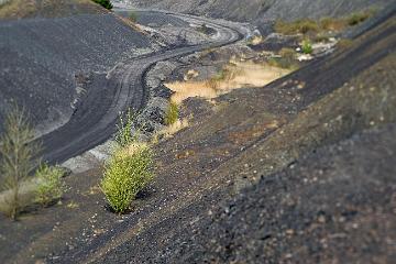 westlicher Teil der Hoheward Halde